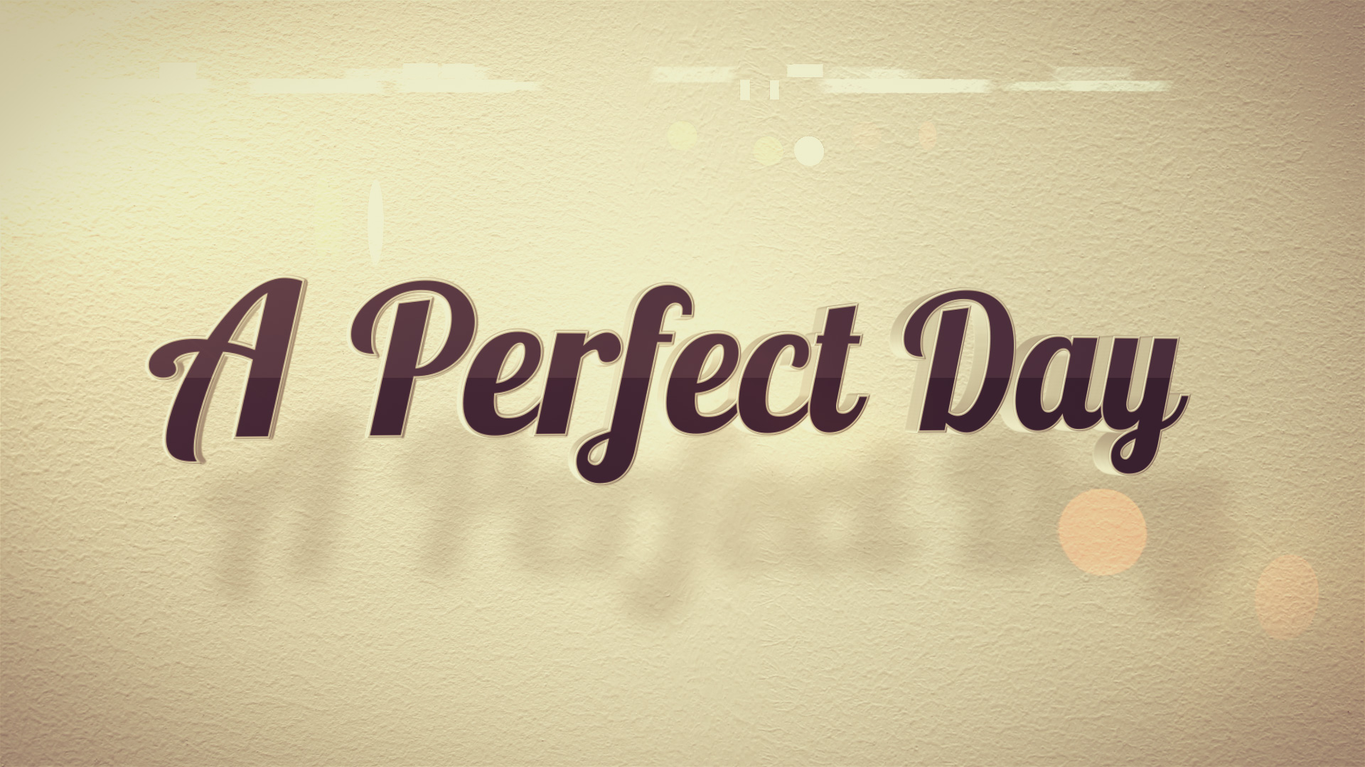 a perfect day store