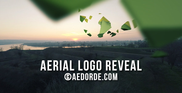 aerial logo reveal
